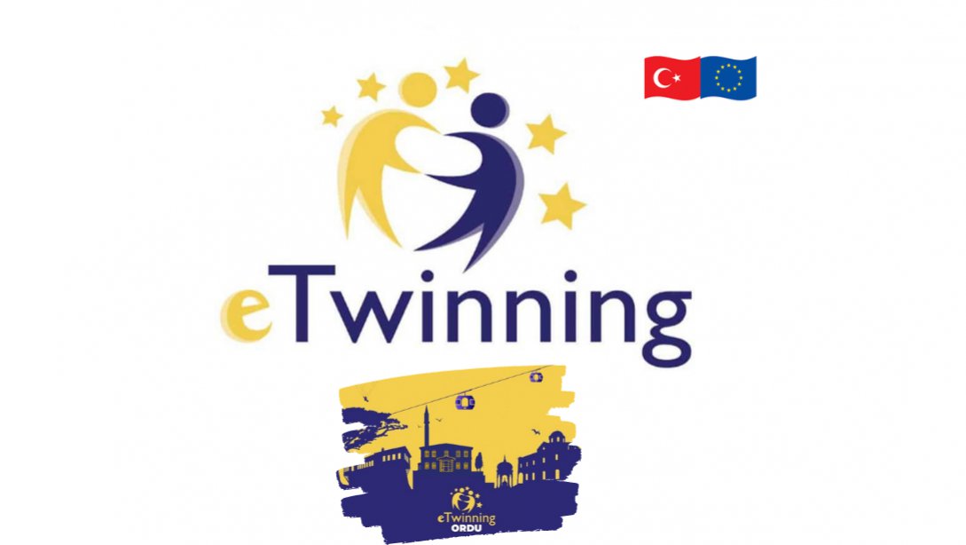 e-Twinning 